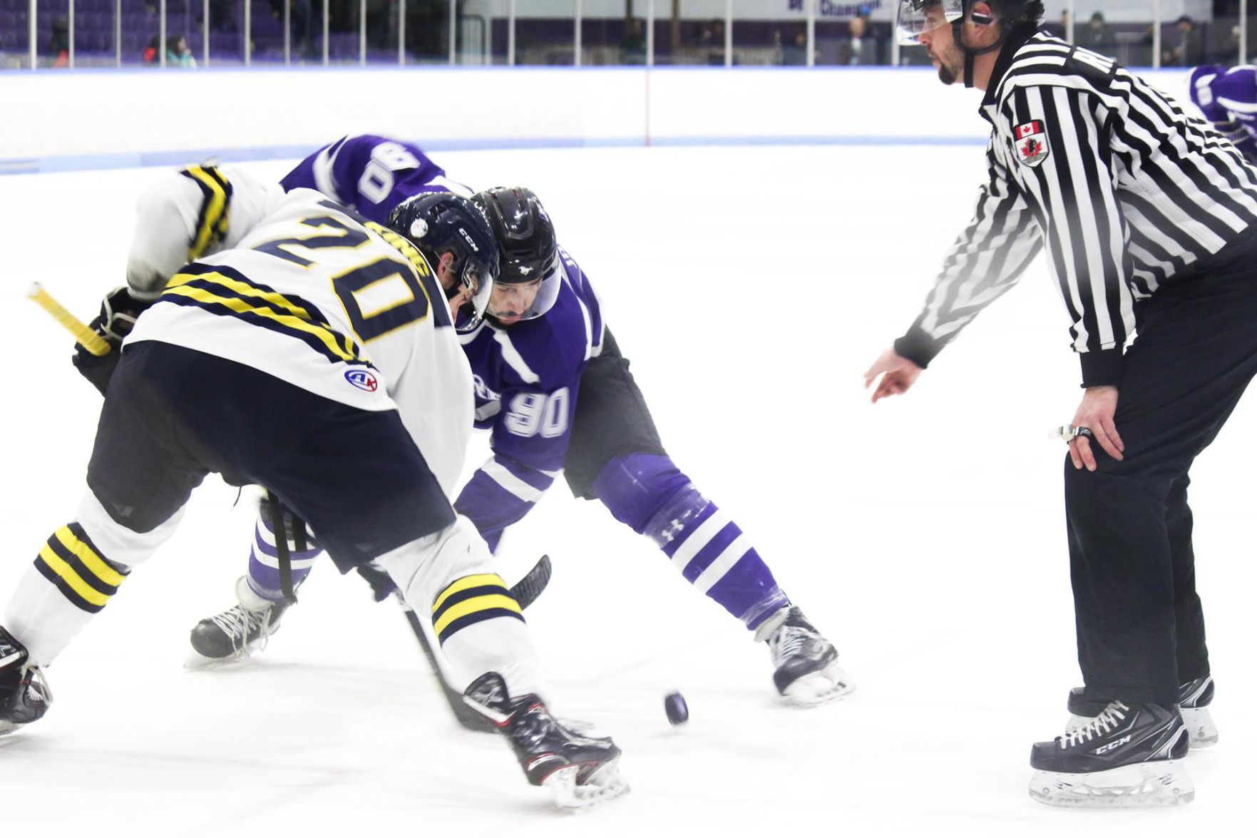 Mustangs men's hockey vs Lakehead Feb 9, 2019